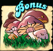 Forest of Wonders Spielautomat Bonus