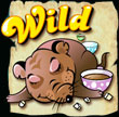 Forest of Wonders Spielautomat Wild